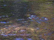 10-08 009